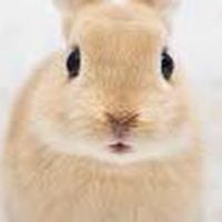 ブロフルの雑談場所