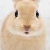 ブロフルの雑談場所