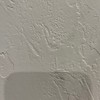 天狗PV制作委員会