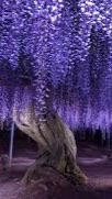 鬼滅の刃 なりきり オリも可
