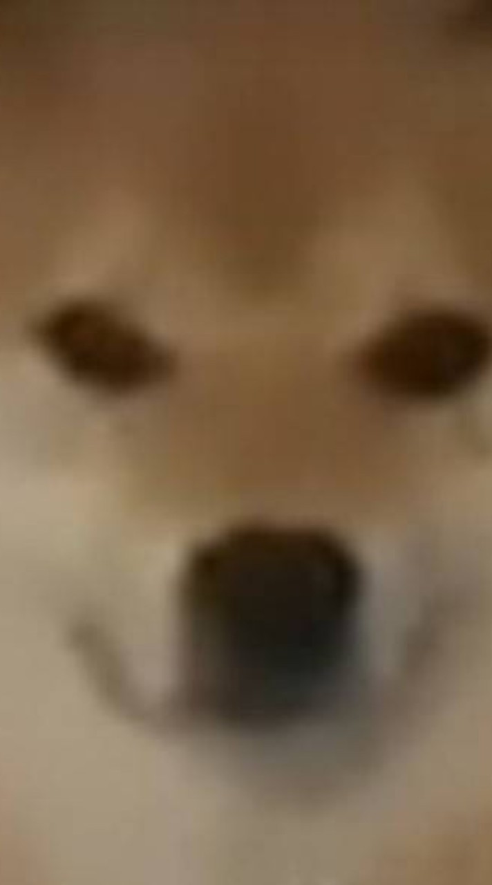 閒聊群