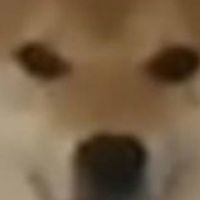 閒聊群