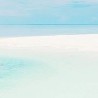 アラブ音楽（ベリーダンス、ダラブッカ、ドフ、レク）