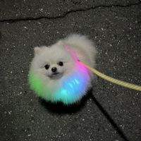 【学生大歓迎！】スプラしましょう(-ω-)