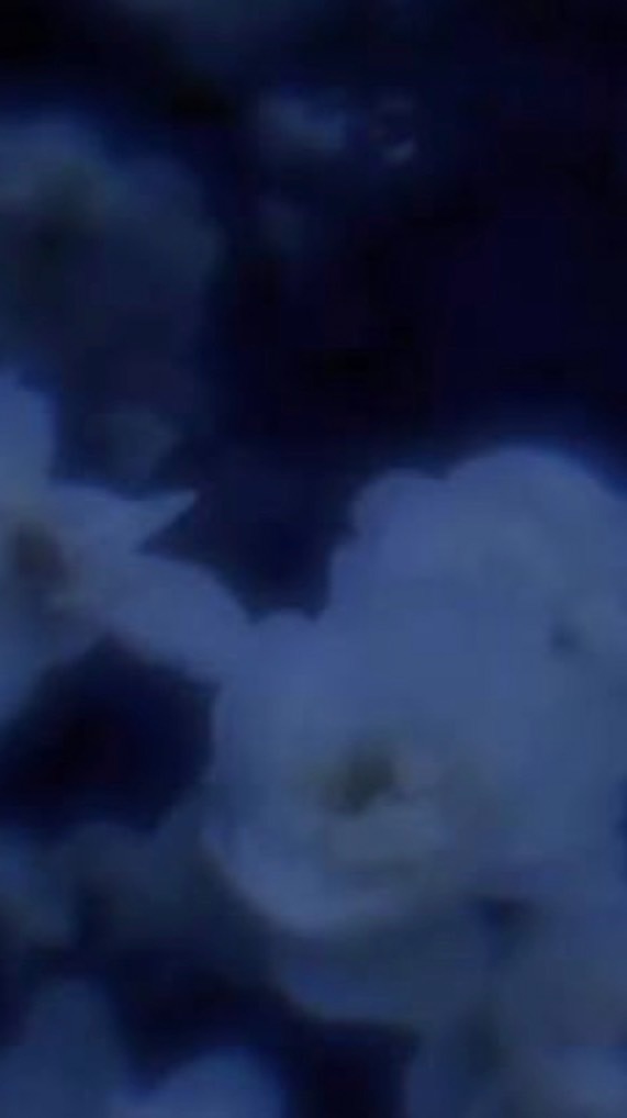 寂しさの痛み分け