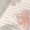 ✎ᝰ𓂃🧂꒷꒦첫눈에 반하다꒦꒷⋆₊˚⊹ ྀི