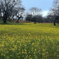 脊柱管狭窄症など腰痛の情報交換部屋