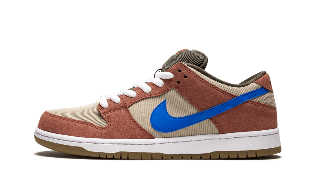 The Nike Sb Dunk Low Pro 