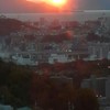 海外に興味がある方々