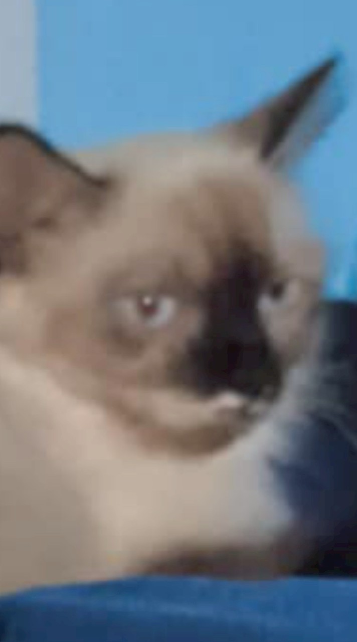 ✨ งานกดไลค์ by แอดลี่ ✨