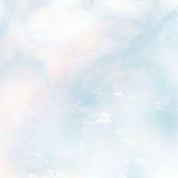 nn的🐈‍⬛