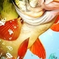 歡樂釣王傳奇：體感拋竿釣魚 專業遊戲討論群 入群密碼1031