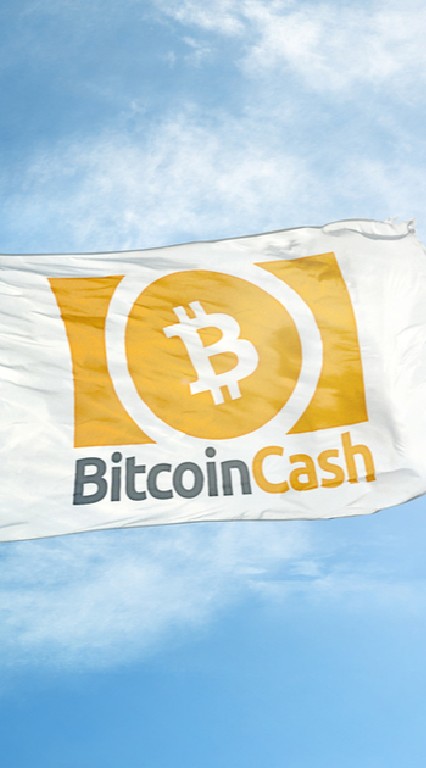 BitcoinCash/BCHについて語る部屋のオープンチャット