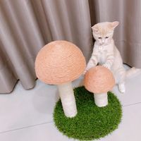MiDo罐罐自己賺🐈