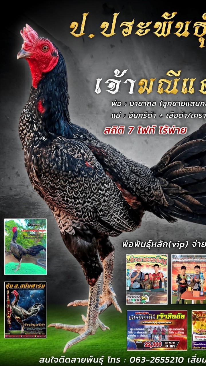 ป.ประพันธุ์ทีม(สังกัดซุ้มทัพหลวง)🐓พม่า