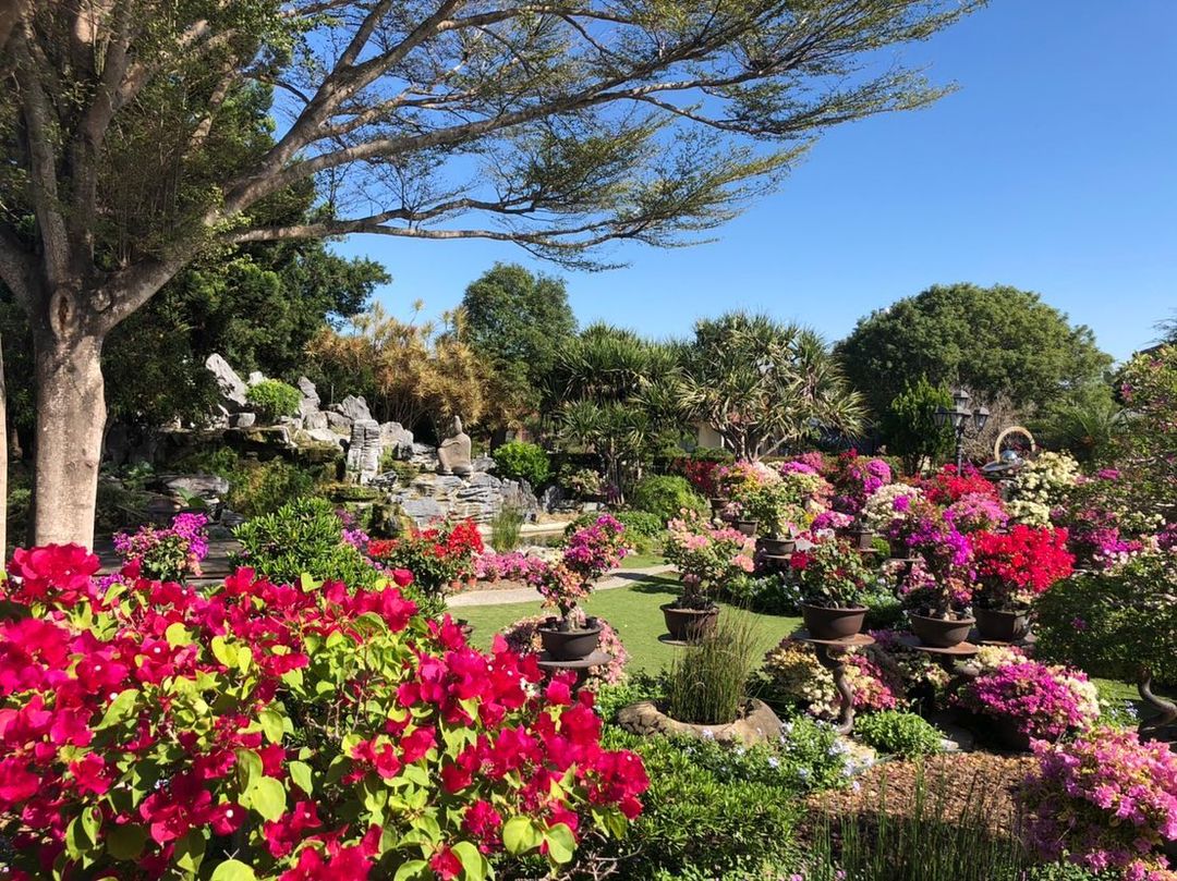 豪景園藝 @hj Tianwei2