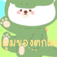 กลุ่มของตกแต่ง☁️❤️