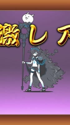 にゃんこ初心者の集まり　上級者も大歓迎