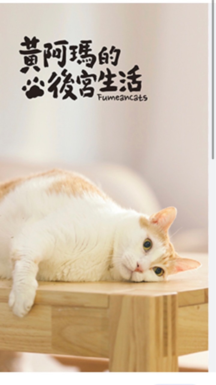 黃阿瑪後宮生活粉絲團