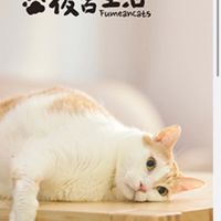 黃阿瑪後宮生活粉絲團