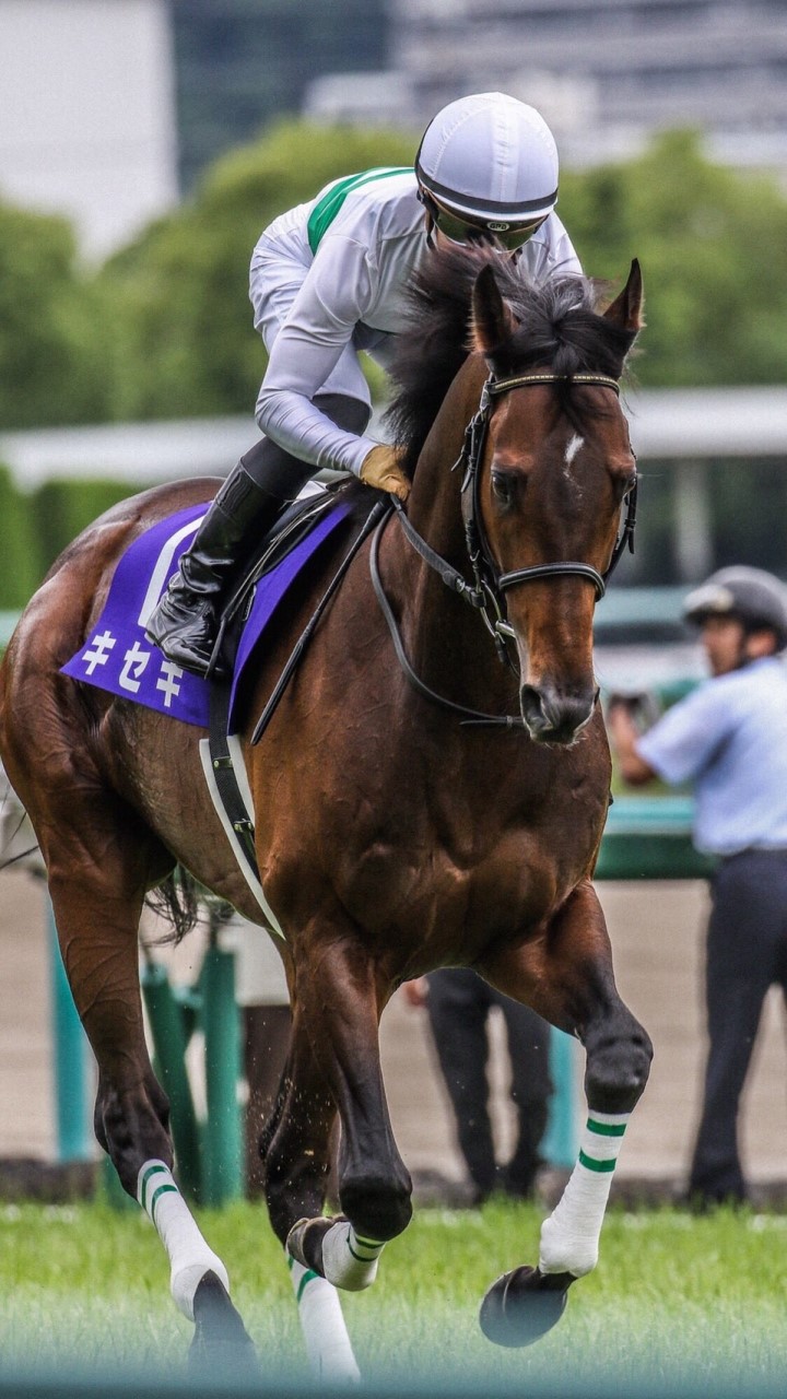 秋華賞2019のオープンチャット