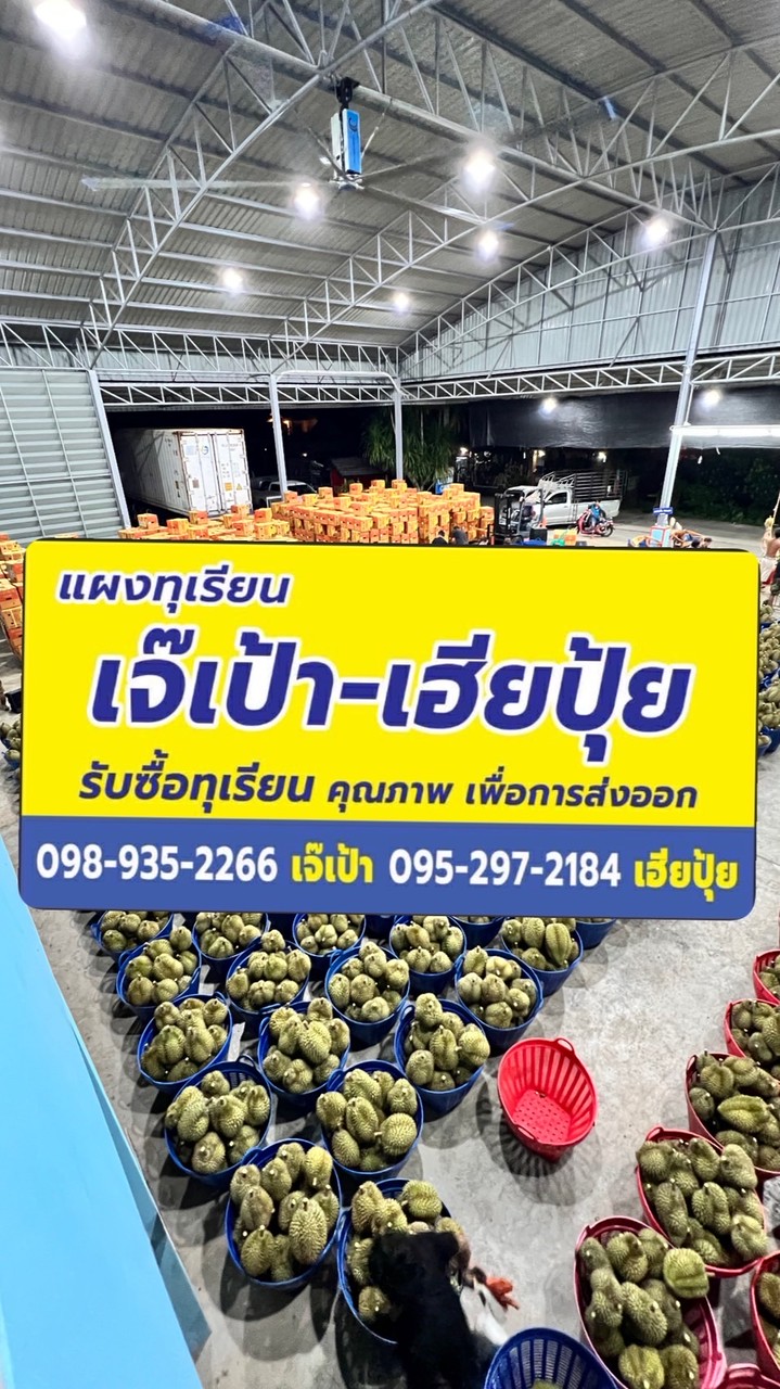 ล้งเจ๊เป้า-เฮียปุ้ย เนินสูง