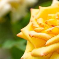 0630福山之美