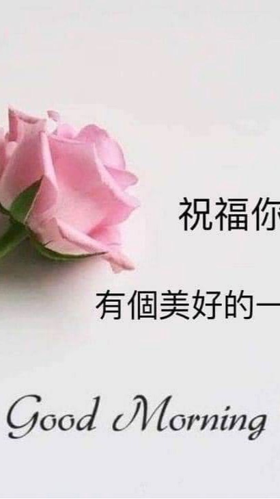 晨訊-美娟