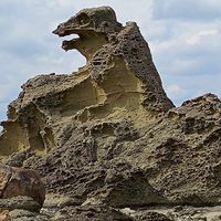 2026岩石学火山（大場）