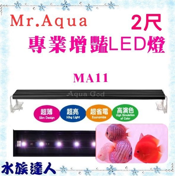 【水族達人】水族先生Mr.Aqua《MA11 節能LED燈 增豔2尺 MR-631-1》增豔燈 台灣製造 安規認證