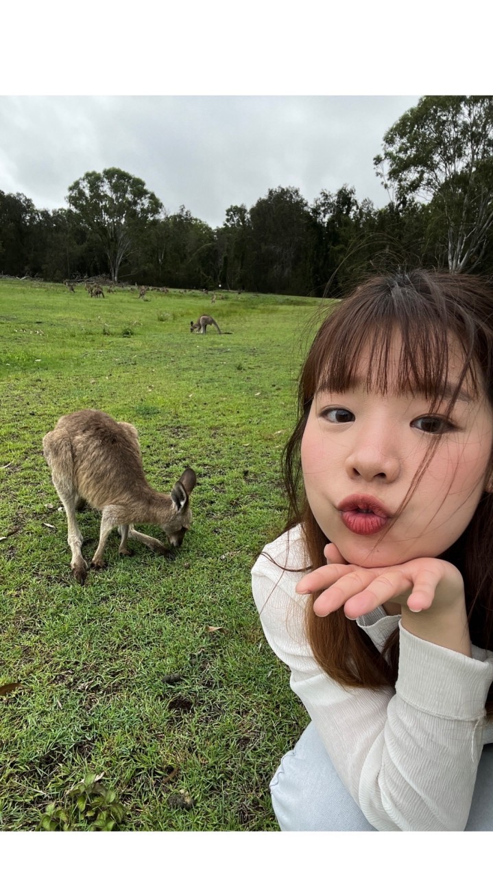 碧翠絲澳洲代購🦘🧡