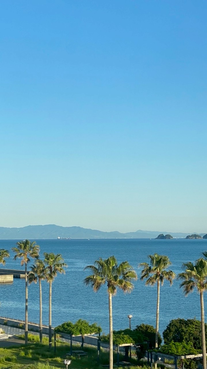 Windsurfer Class Wakayama Regatta