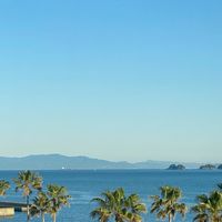 Windsurfer Class Wakayama Regatta