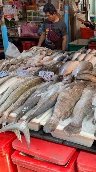 ปลาดุก / ปลาช่อน คลองเตย