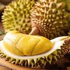 ทุเรียนสด AJ FRUIT