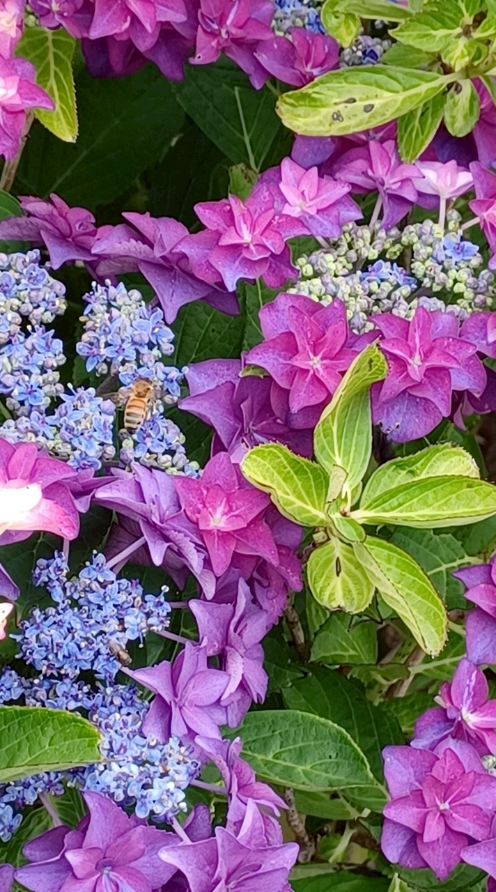 🌈🕊️心の友探し💎♥笑顔を貴方に🌹シングル部屋です笑顔を貴方に♥40〰.70代宜しくです🌹