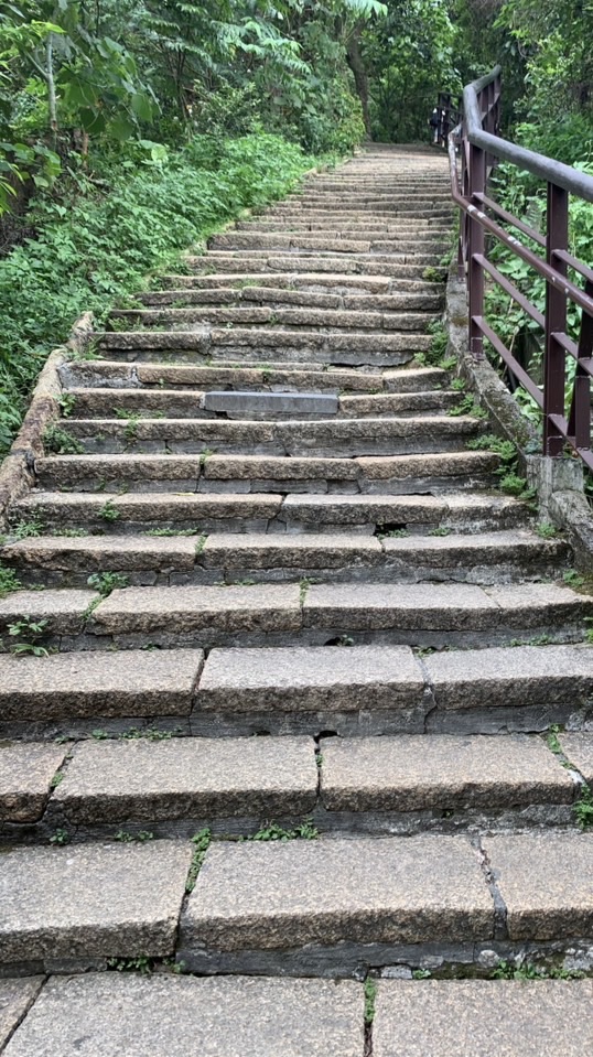 羊群一起購 GO