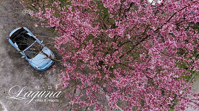 （圖片來源／IG @lagunavillasresorts.i_lan）