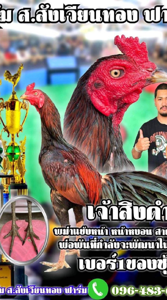อาร์ท เชียงราย ส.สังเวียนทอง ฟาร์ม