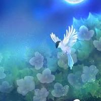 モーマンタイム 花鳥風月(氷河s17)