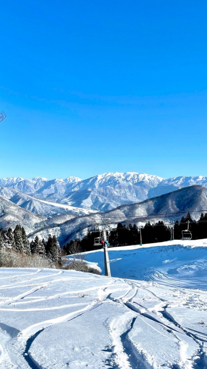 🌈THEDAY.YUZAWA♨越後湯沢の「今」がわかる！情報メディアのオープンチャット