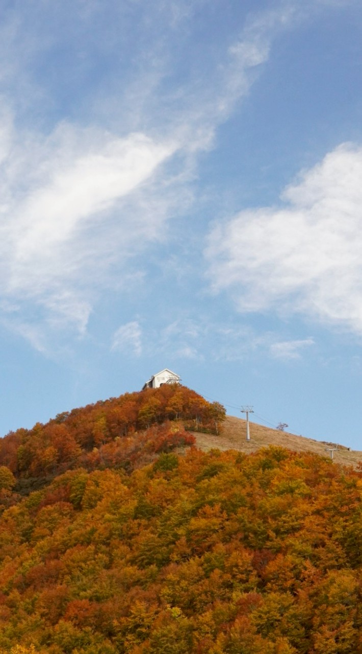 TODAY YUZAWA 🌿 ローカルと湯沢愛あるみんなで越後湯沢観光の相談に乗ります