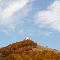 TODAY YUZAWA 🌿 ローカルと湯沢愛あるみんなで越後湯沢観光の相談に乗ります