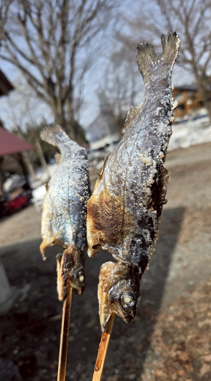 TODAY YUZAWA 🌿 ローカルと湯沢愛あるみんなで越後湯沢観光の相談に乗ります