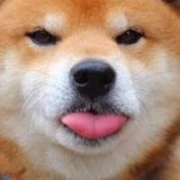 🐶คนรักสุนัข🐶