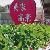 吳家高架草莓園