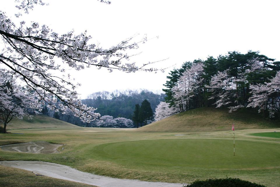 Recent Media ニューセントラルゴルフ倶楽部