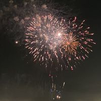 ライト交流会