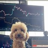 デイトレの極み【投資家への道】初心者からプロまで大歓迎です！