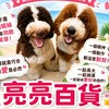 亮亮百貨VIP💖